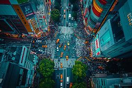 aerial photography over city and country