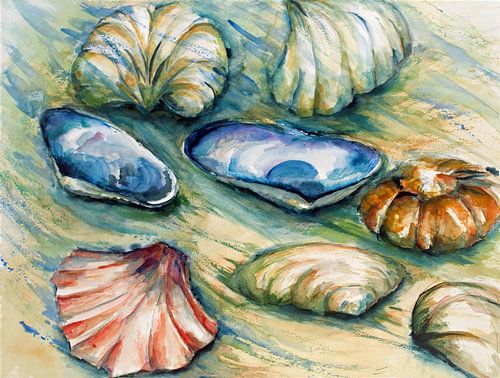 Des coquillages dans le ressac sur la plage de Hollande du Nord.