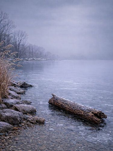 Wintermorgen in de mist bij de Kochelsee