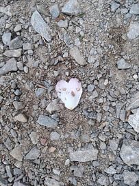 Heartshapedleave von Kelly Schrijver