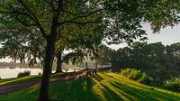 Zonsopkomst bij de Kralingse Plas van Jelte Lagendijk thumbnail