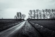 Weg in Groninger polder van Rene de Werker thumbnail