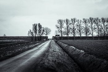 Weg in Groninger polder