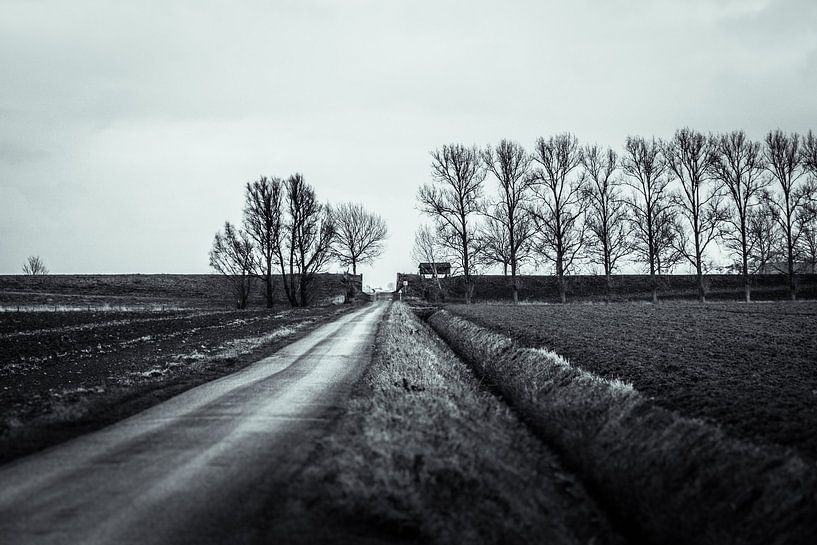 Weg in Groninger polder van Rene de Werker