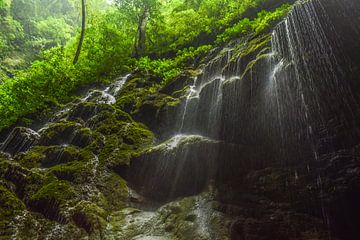 Zhangjiajie - I by Jarne Buttiens