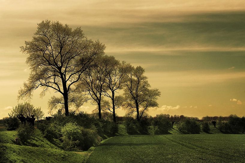 Alter Seedeich von Mario de Lijser