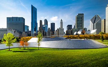 Chicago Scrapers van Freek van den Bergh