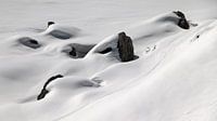 Skisporen in de sneeuw - Sextener Dolomieten - Südtirol - Italië van Felina Photography thumbnail