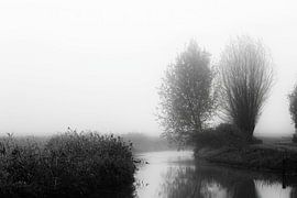 Matin brumeux (noir et blanc) sur Fotografie Jeronimo