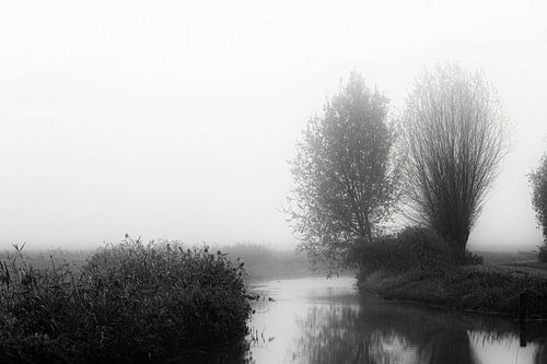 Mistige ochtend (zwart-wit)