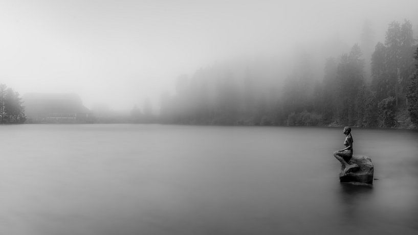 Photo de paysage d'une statue de sirène dans un lac brumeux en noir et blanc par Jan Hermsen