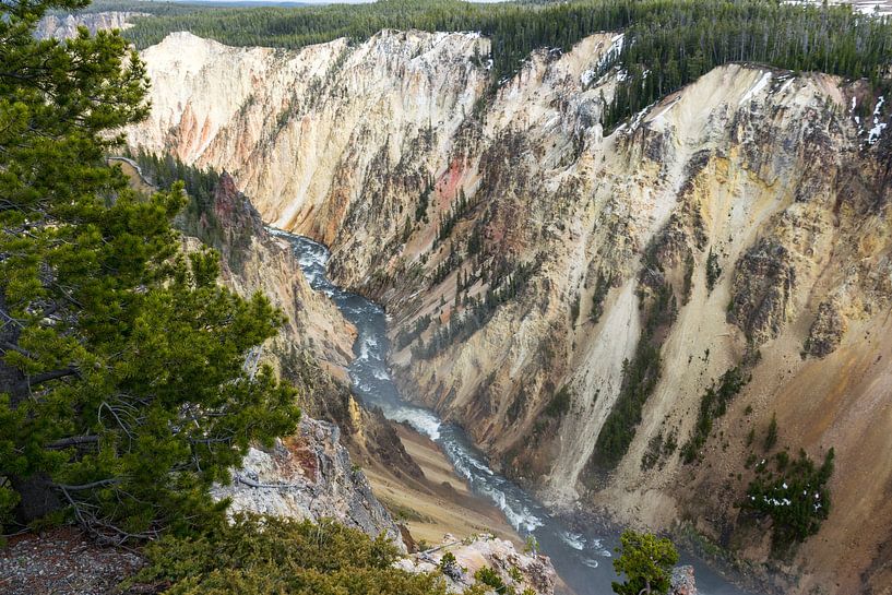 Der Grand Canyon von Yellowstone in Amerika von Linda Schouw