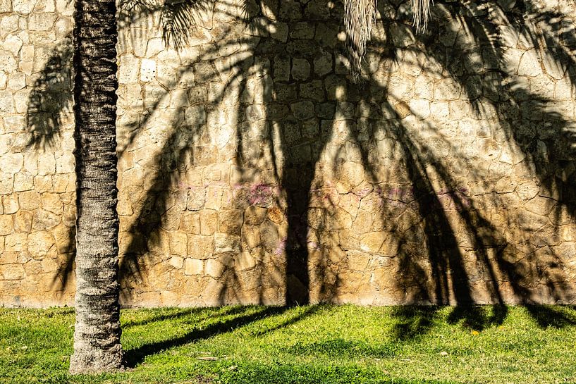 Shadows on the wall by Dieter Walther