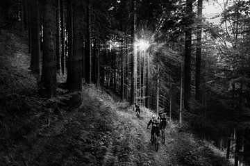 Into the light by Jarno Schurgers