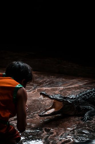 Asiatische Krokodile