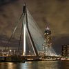 Erasmusbrug, ook wel de Zwaan genoemd. van Jaap van den Berg