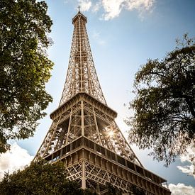 Eiffeltoren door de bomen van Sander van Mierlo
