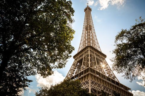 Eiffeltoren door de bomen