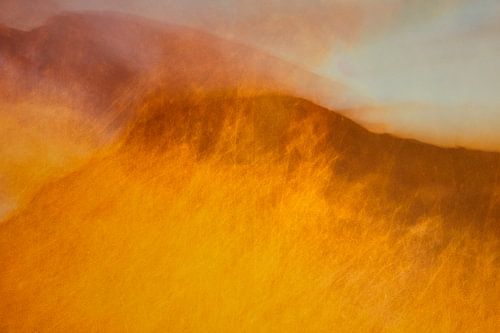 Fiery grass by Marjon Meinders
