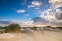 De duinen op Ameland