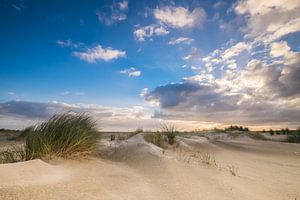 Les dunes d'Ameland sur Niels Barto