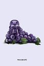 Walgrape by Jonas Loose thumbnail
