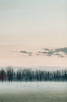 twilight