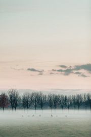 twilight by Huib Vintges