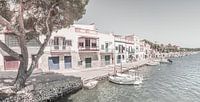 Traditionele huizen in de oude stad Portocolom op Mallorca, Spanje Balearen van Alex Winter thumbnail