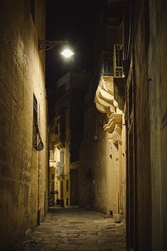 Ein Abend in Malta von Winfred van den Bor