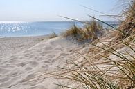 Dünen am Strand in Thiessow auf Rügen von GH Foto & Artdesign Miniaturansicht