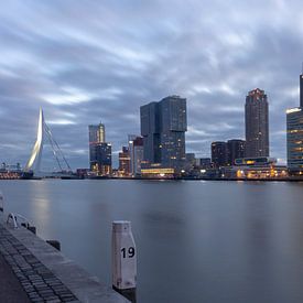 Skyline Rotterdam van Danny van Vessem