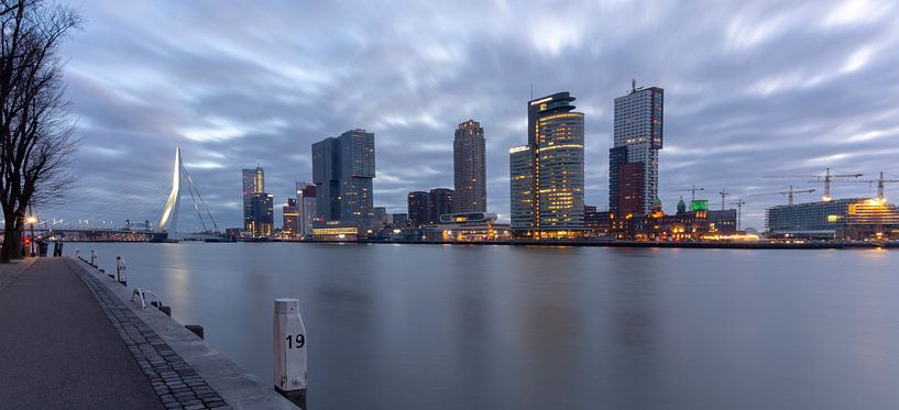 Skyline Rotterdam van Danny van Vessem