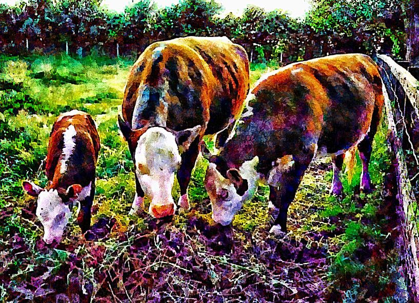 Hereford Cross Family Feeding Time by Dorothy Berry-Lound