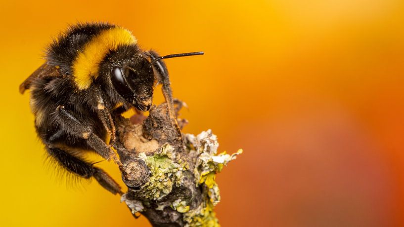 Ready for take off by Tiffany Heymans