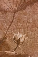 Lotus-Tapete