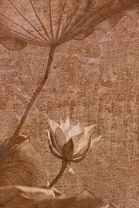 Lotus-Tapete von Esther Wijntje