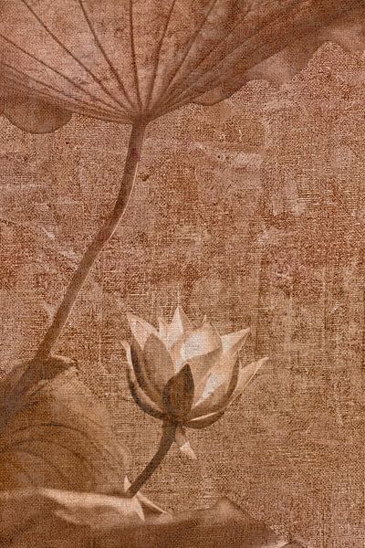 Lotus Behang van Esther Wijntje