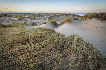 Dune et vent sur Dirk van Egmond