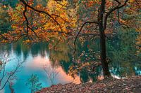 Natural landscape Velpker Switzerland