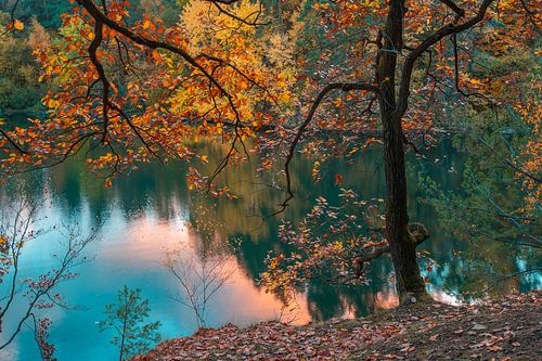 Naturlandschaft Velpker Schweiz