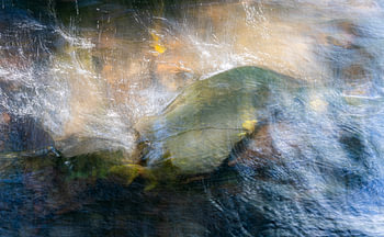 Water in beweging
