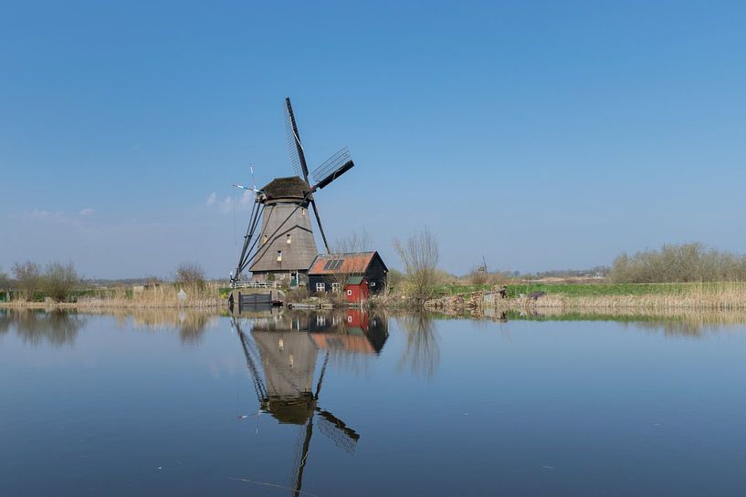 Perfecte reflectie van een Hollandse windmolen in Kinderdijk van Patrick Verhoef