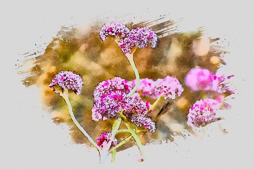 Bloemendromen in het ochtendlicht
