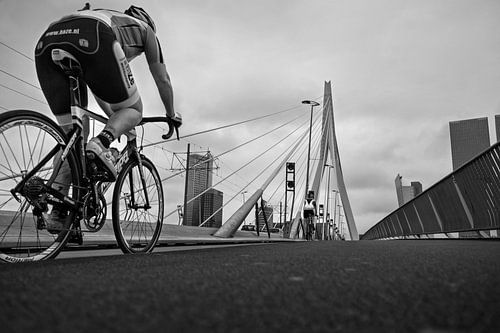 Cyclists on the Erasmus Bridge in Rotterdam