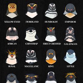 Pinguïnsoorten in een oogopslag - Gezichten van het pinguïnkartel van Pixelbull Design