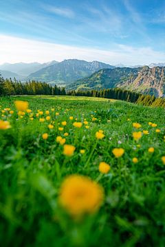 Bloemrijk uitzicht op de Oberjoch en de Iseler van Leo Schindzielorz