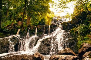Kleiner Wasserfall im Wald mit Moos auf Steinen