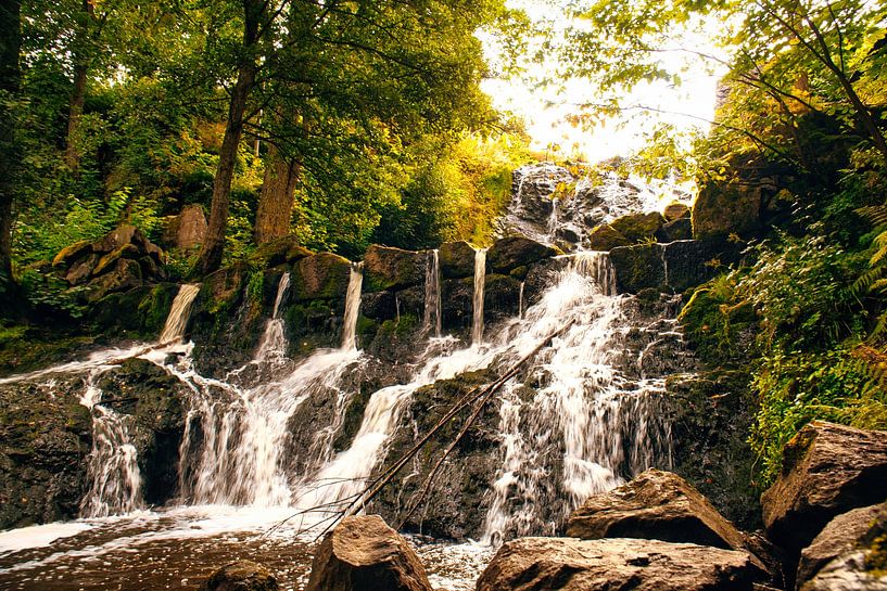 Kleine waterval in het bos met mos op stenen van Martin Köbsch