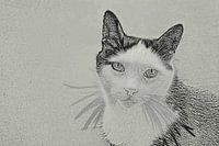 Le Chat Mickey